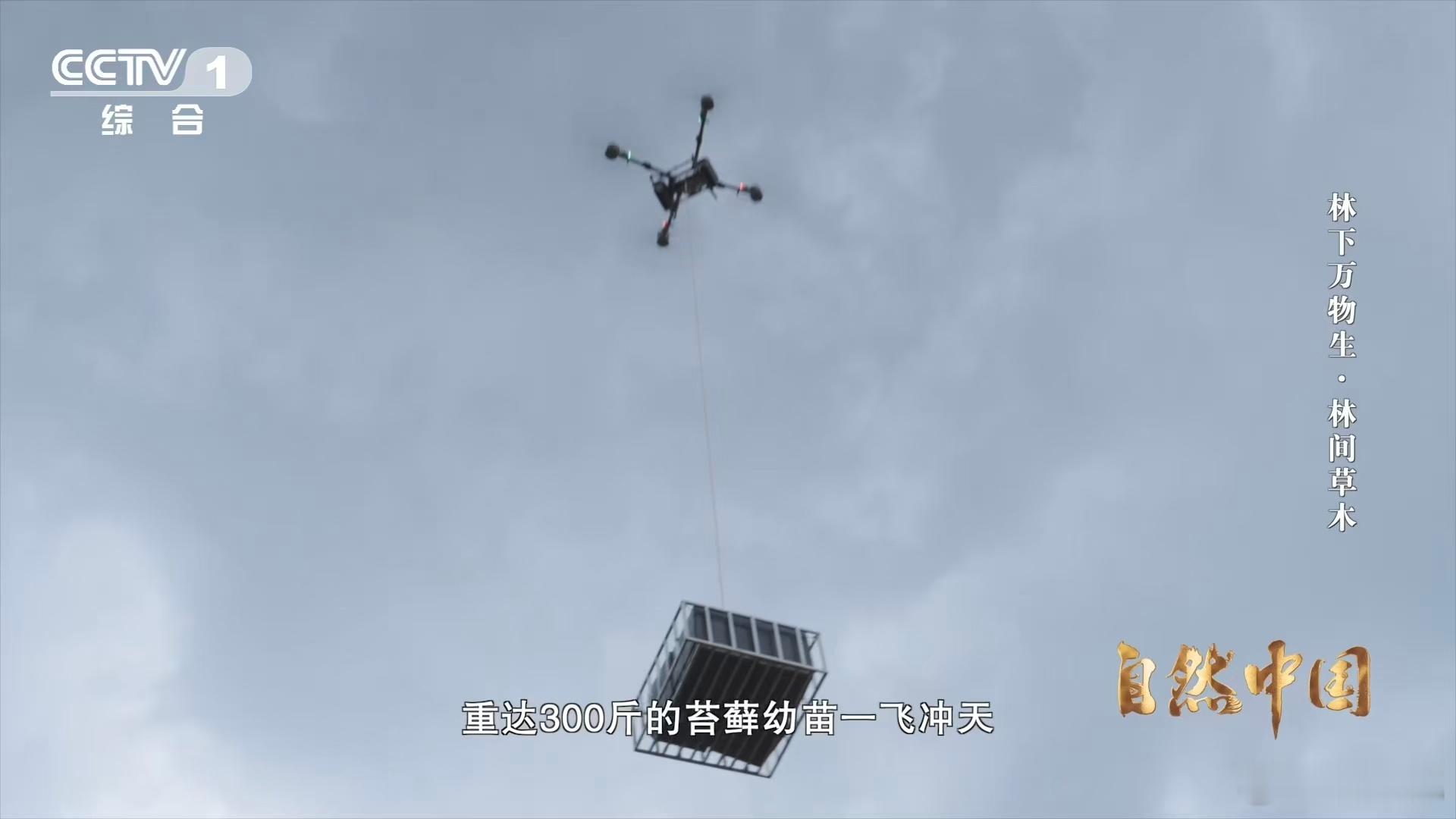 一架架无人机在中国农村运货瞧那中国农村的天空，一架架无人机有序穿梭，宛如灵动的