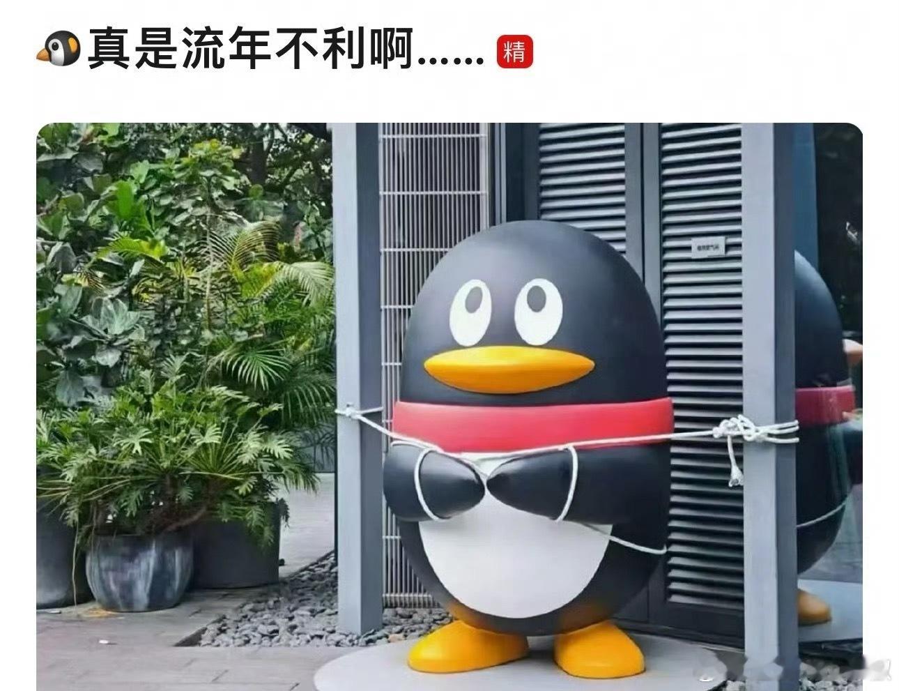 🐧只剩脚了[捂脸哭]​​​