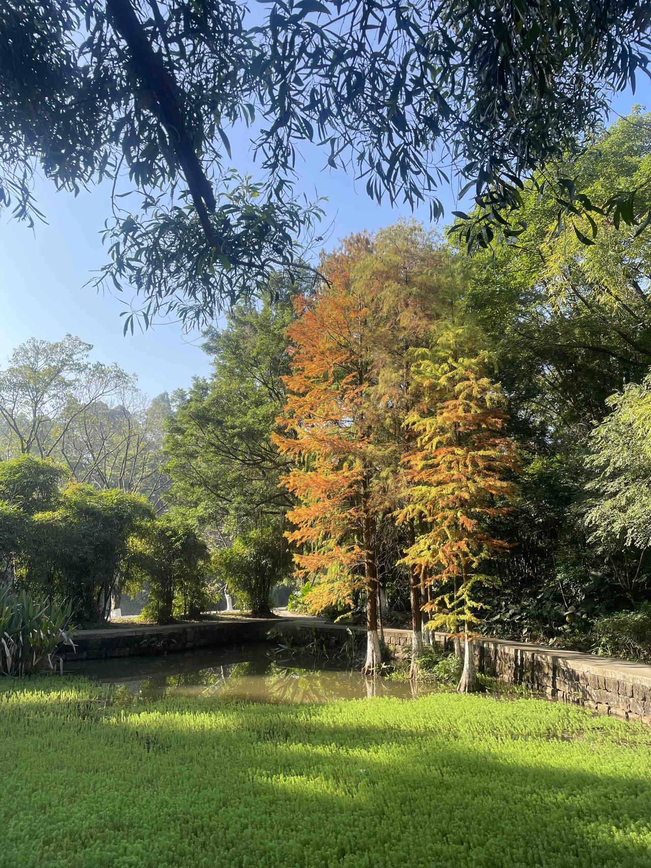 独自带娃的6年，孩子虽然瘦点，但是婆婆从老家一来，就说带娃不用心，她说：孩