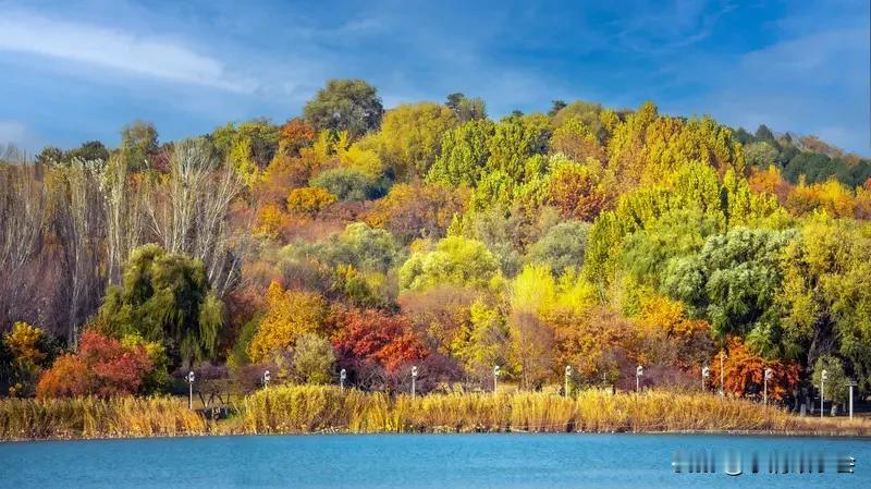 秋天的祖国大地，简直美成了调色盘！我虽没法发图，但可以给你描述那些绝美的秋景。