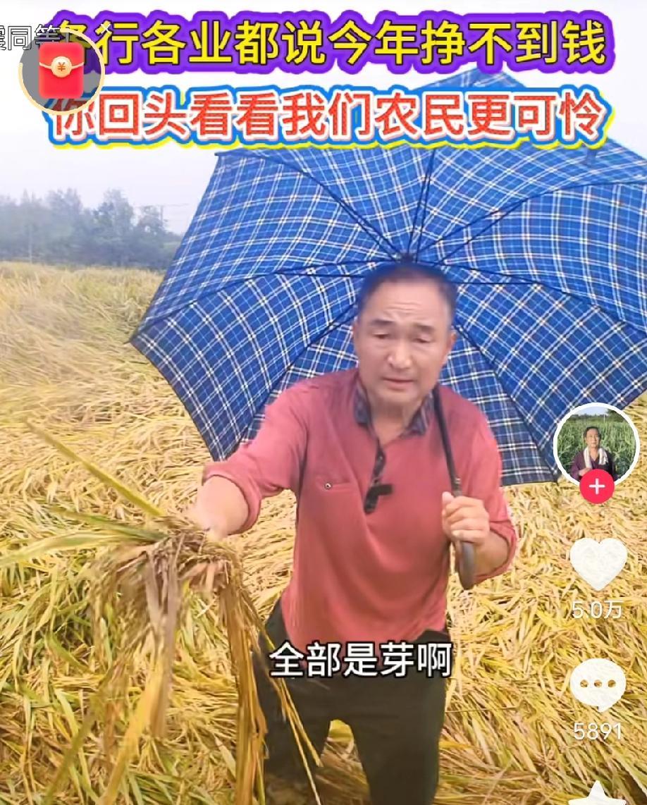 去日本种地，可以速成亿万富翁日本年轻人不种地，都是六七十年的大叔、大娘在种。