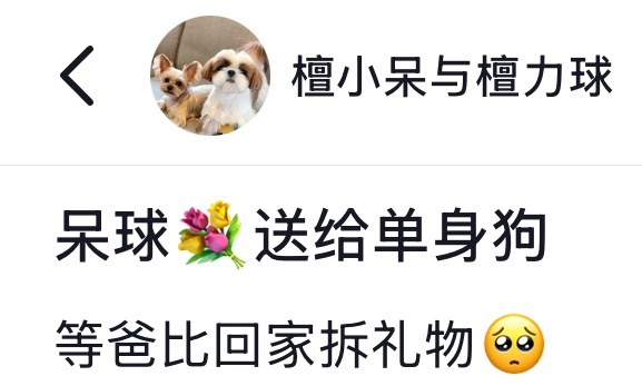请注意，这个檀健次又在借小狗的账号勾引人了​​​