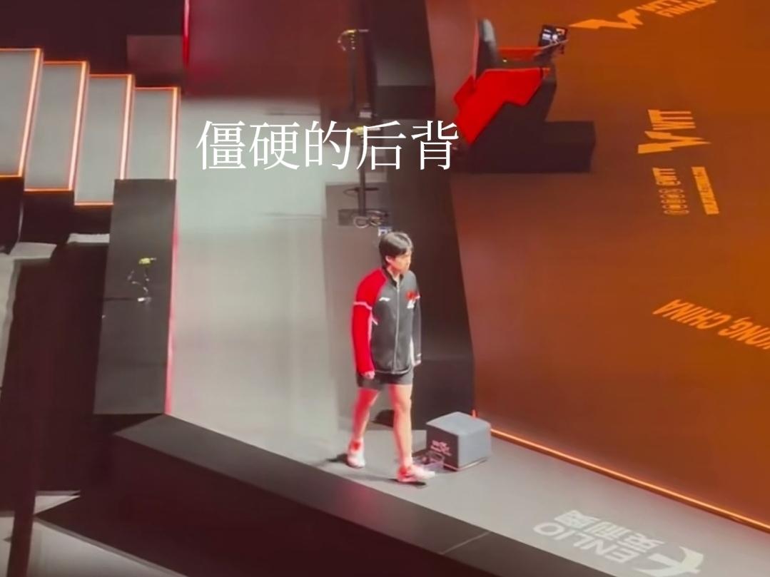 今天刷到昨天王楚钦参加香港总决赛男单半决赛的入场视频，应该是球迷从山顶看台方向拍