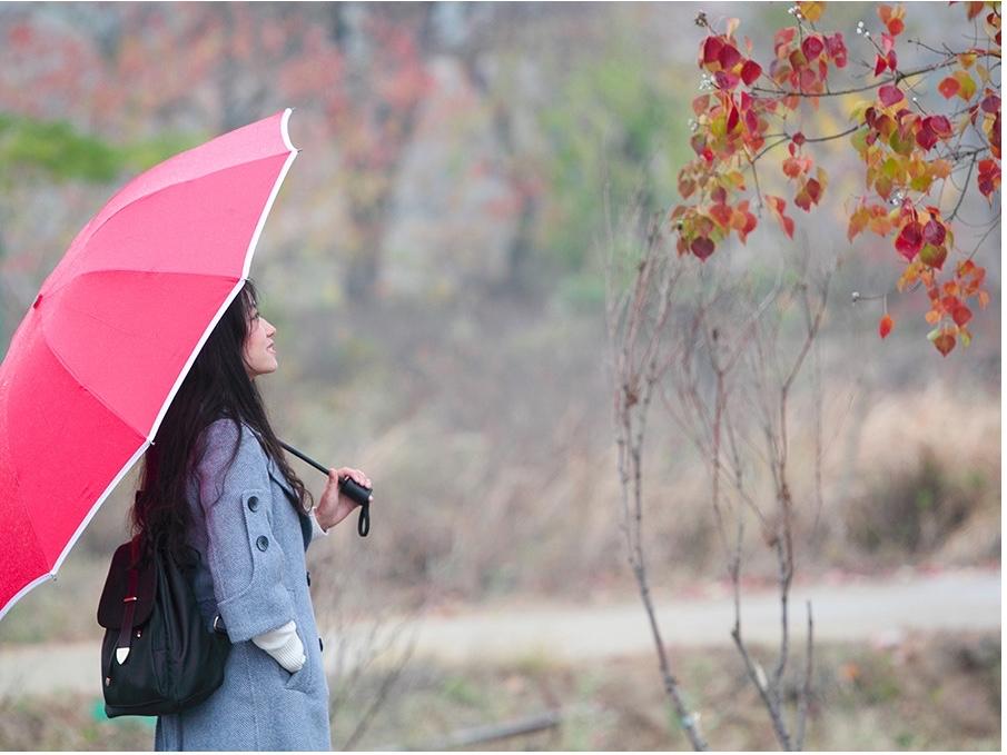 我给所有高中家长的建议，孩子能考上985，那是需要天赋的，不是光靠努力就能实现的