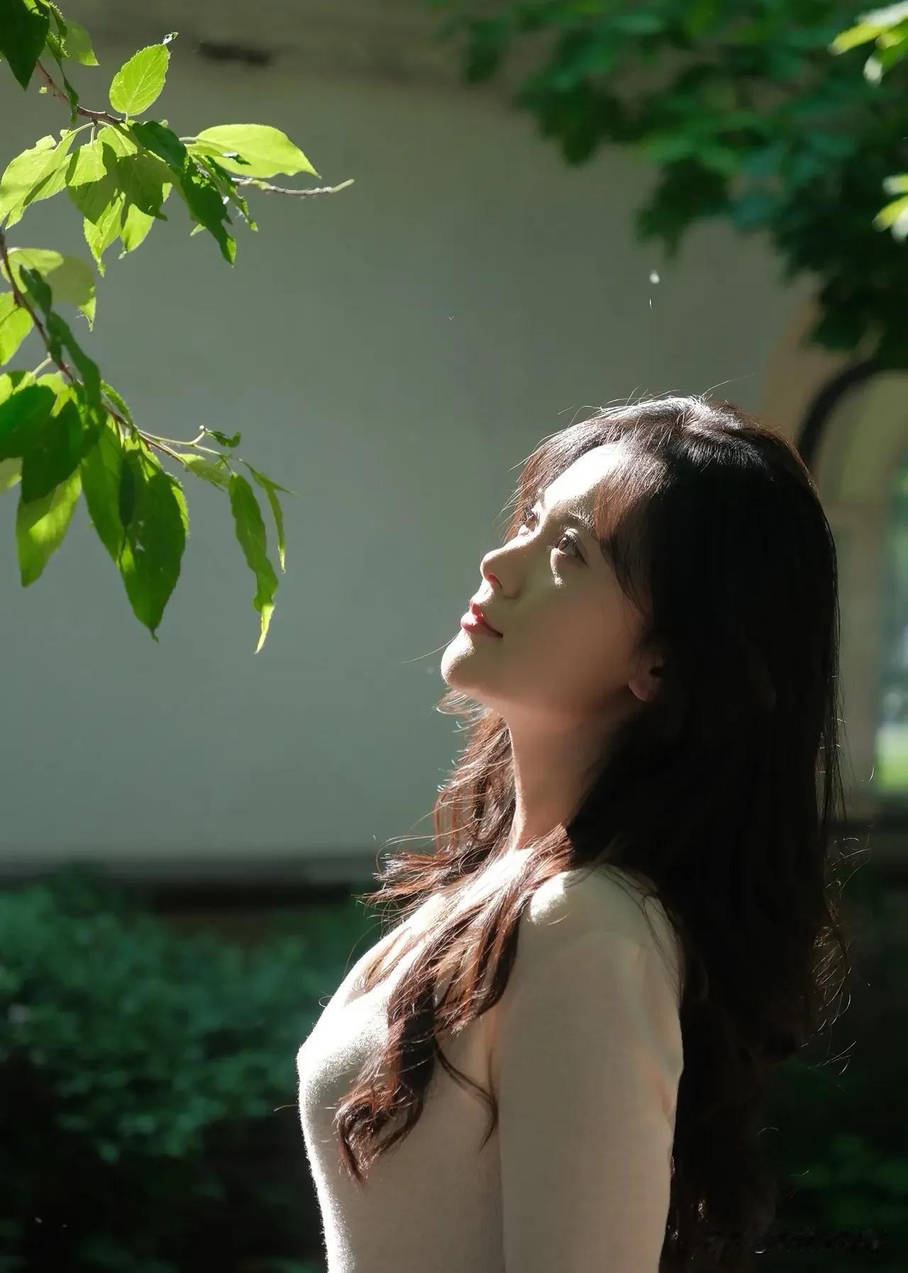 阳光洒落，唤醒慵懒午后。每一缕光都是生活的温柔馈赠，此刻，让心灵在光