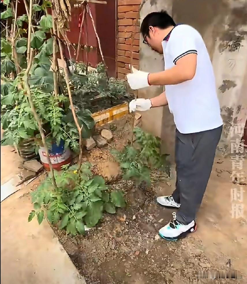 河南一男子怒了。邻居在他家门口的空地上种菜，说了好几次都不听。一怒之下，他直