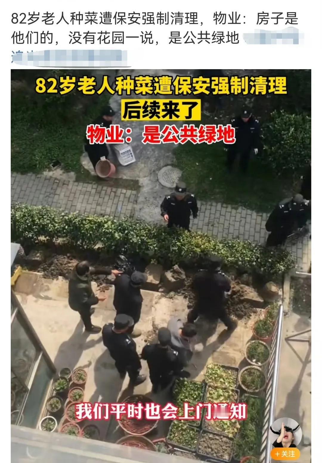 这个整治得对，否则这股歪风会越刮越大，整个小区绿化都会被毁，甚至到时给你浇粪，成