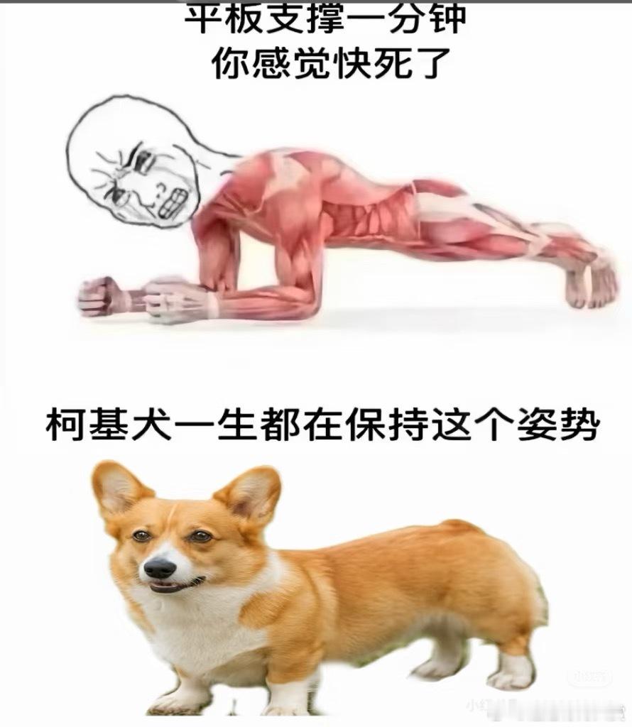 健身人的痛谁懂内容过于真实​​​