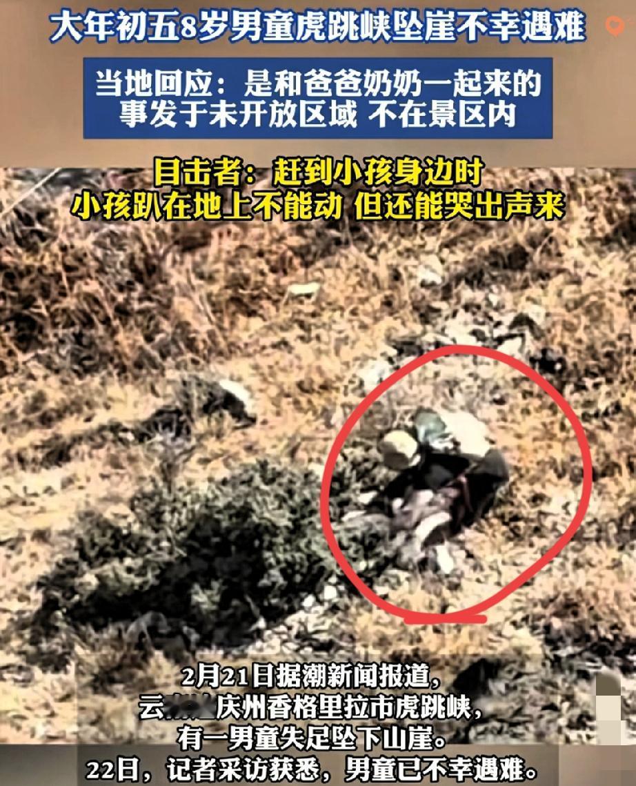 虎跳峡8岁男童坠崖，奶奶一个举动，让无数家长瞬间破防。孩子跟着家人走未开发