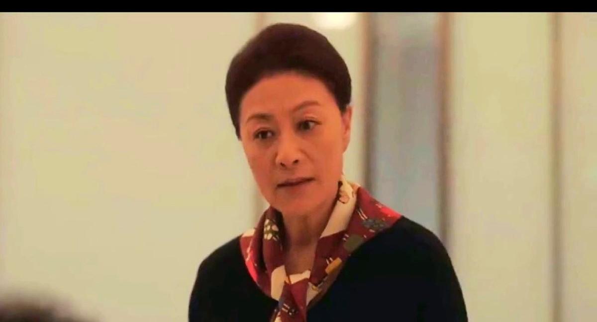 电视剧《四喜》已看完大结局，有件事怎么都想不明白岳红演的何丽华脑出血住院，儿