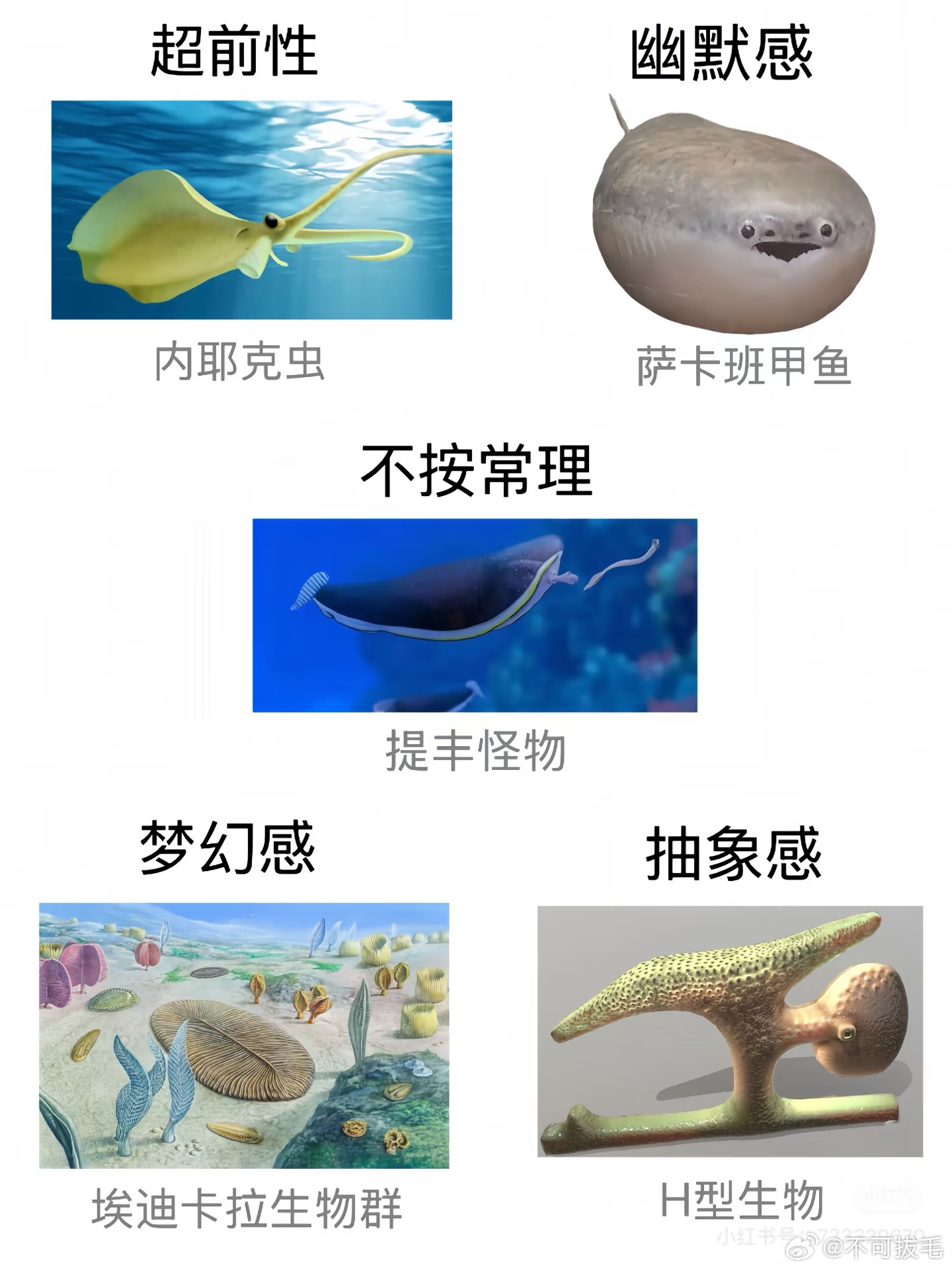 开始给家oc干一些坏事belike给古生物学家扔一堆埃斯卡拉纪生物一想到要画什么