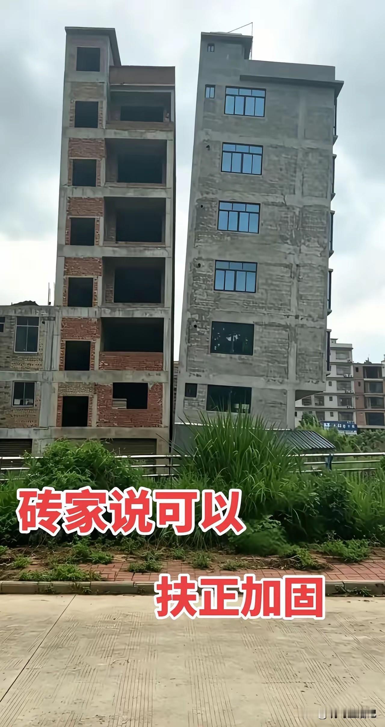 砖家说的，能不能信啊