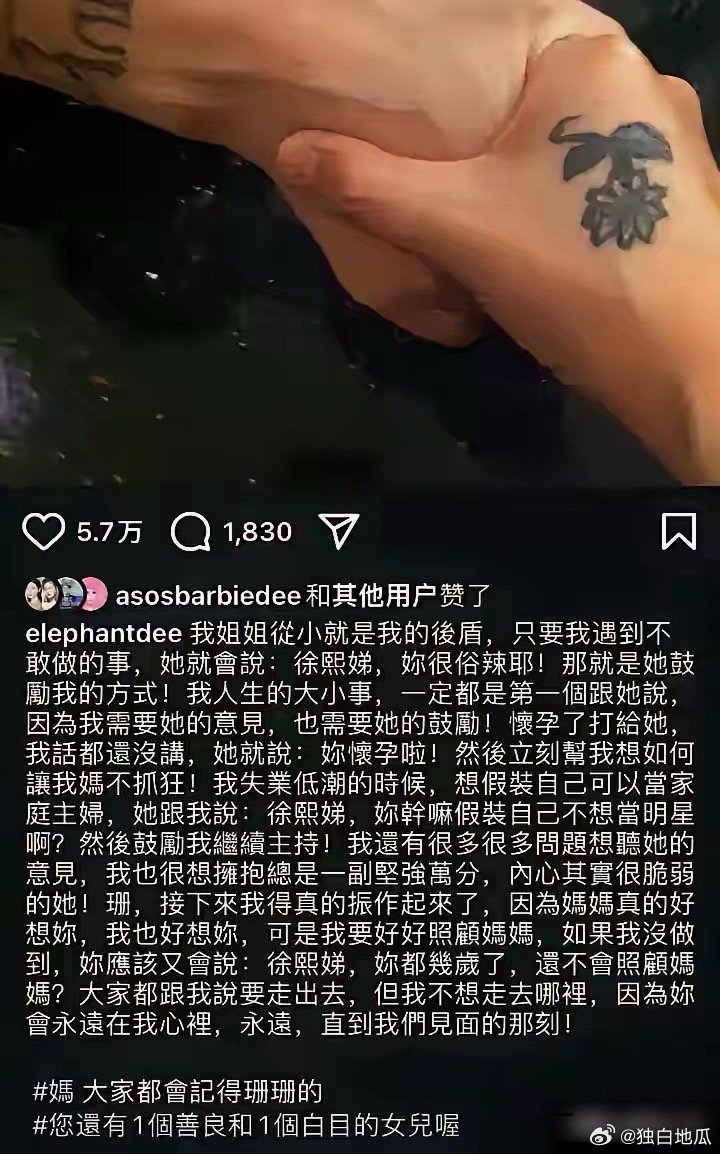 小S用一篇小作文回应，但对搬空豪宅却只字不提！近日汪小菲带律师与前妻律师一同进入
