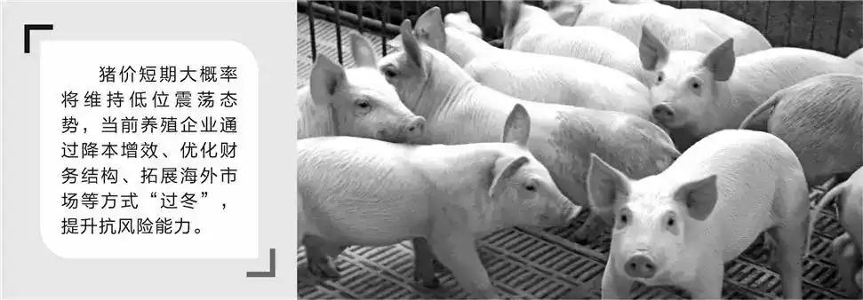 【猪价已跌至近10年低点】市场看好猪价下半年行情截至4月21日，牧原股份、温氏