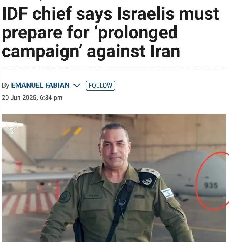 风向变了，以色列这次损失可大了去了。2025年6月，以色列国防军总参谋长埃亚