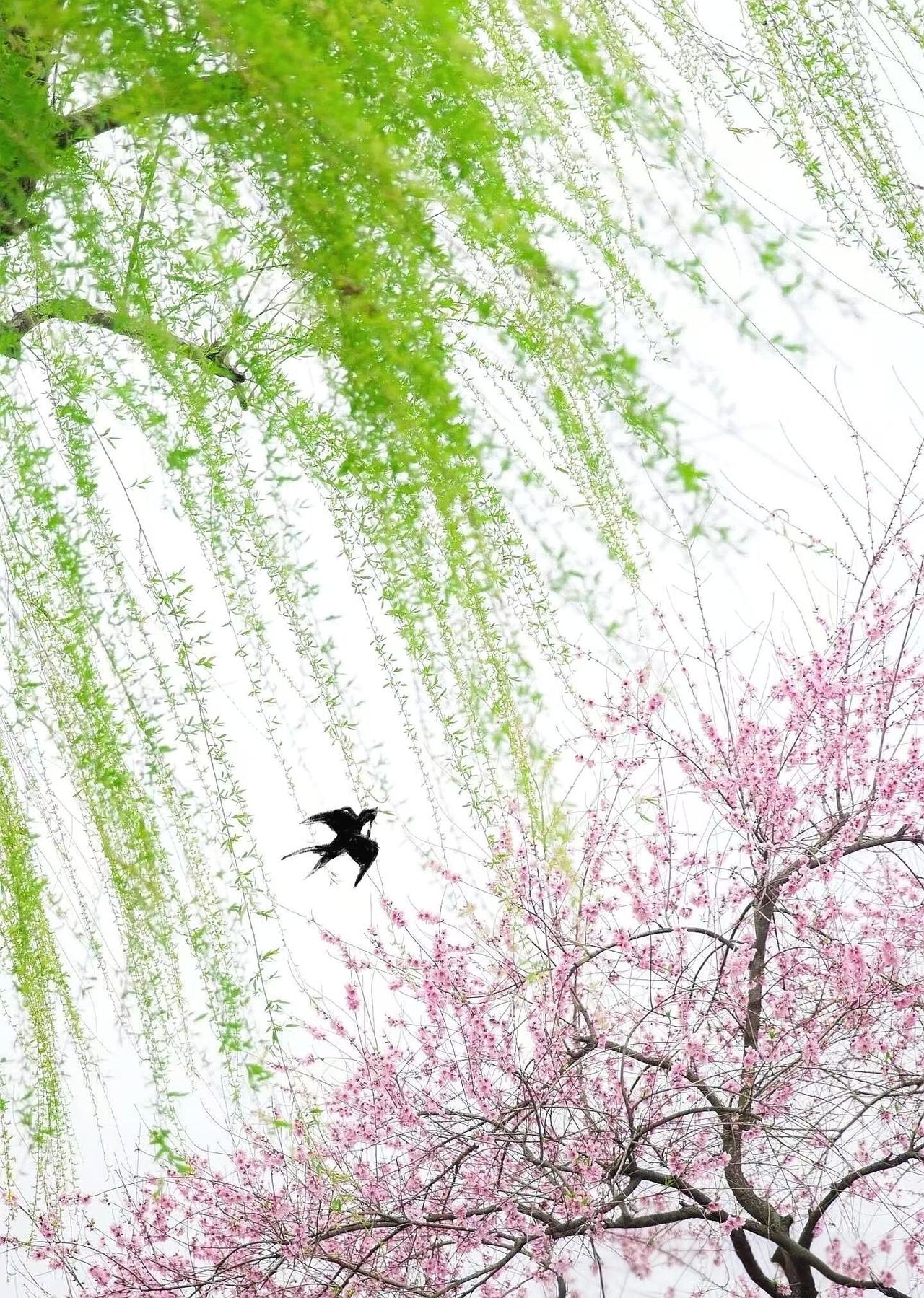 寿命长的教师通常具备以下6个特征1、心态平和遇事不较真，少与学生动气，内心不