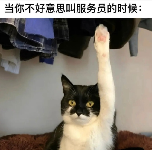 笑到邻居来敲我家门