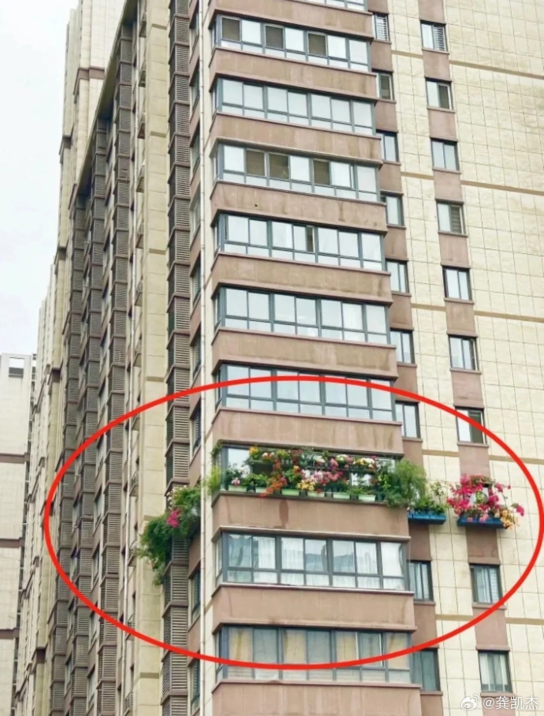 要是整幢楼都是这样的搭配，那就更漂亮了！[大笑]​​​