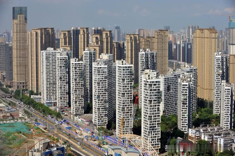 钱会流向不缺钱的人，爱会流向不缺爱的人。这句话放在当前的深圳新房市场，毫无违