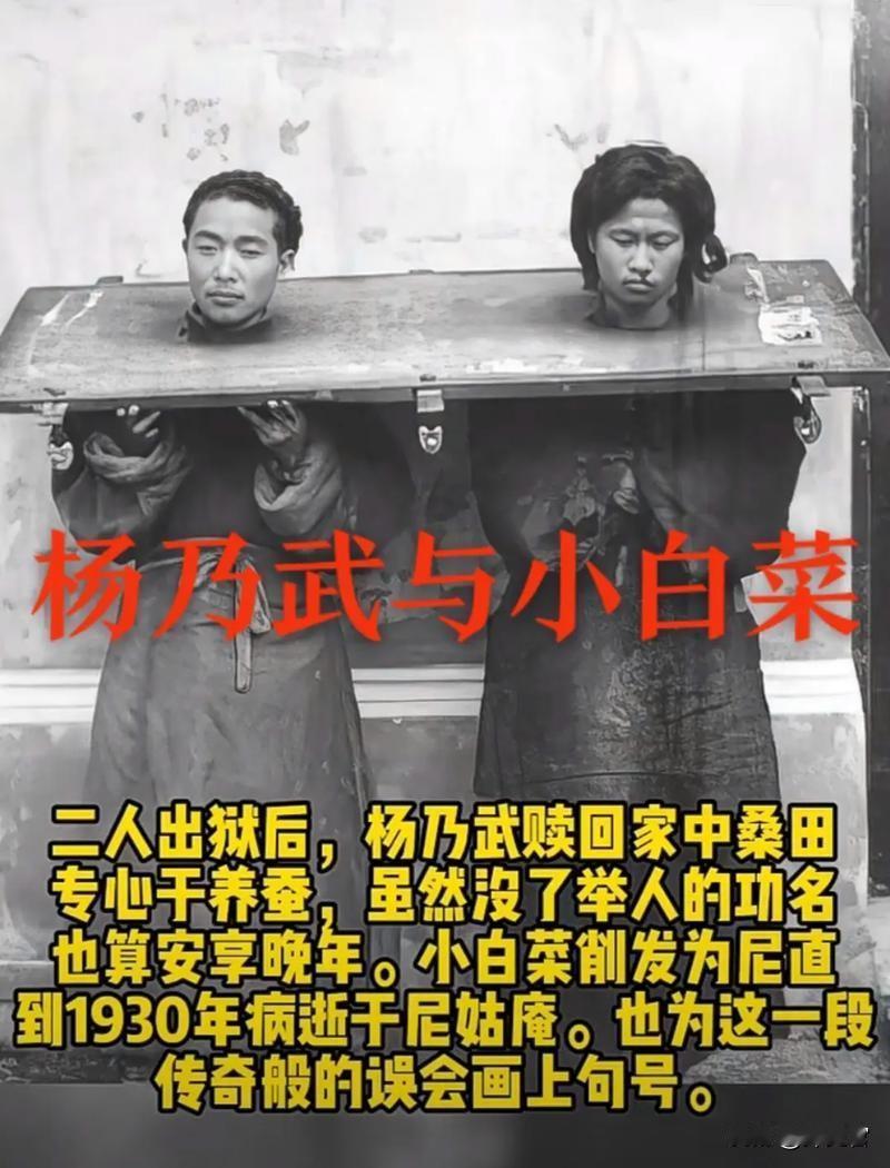 140年前，杨乃武与小白菜的真实照片，由一位法国记者拍下罕见真容。杨乃武与小白菜