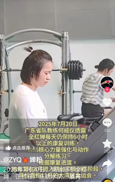 昨天，全红婵正式在广东跳水队恢复体能训练了，省队教练何威仪透露，婵宝每天仍保持6
