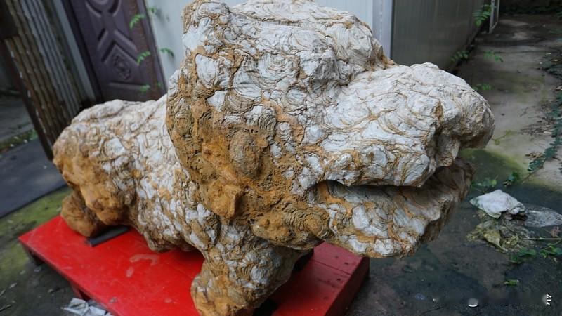 和人交往，我更看重人品。之前朋友介绍了个合作伙伴，外表帅气、谈吐得体，可相处久了