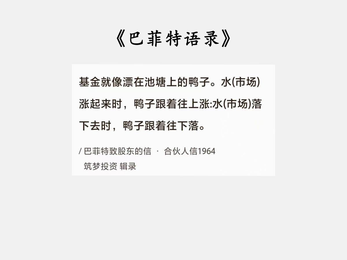 No.133巴菲特谈“基金就像鸭子”巴菲特曰：“基金就像漂在池塘上的鸭子。