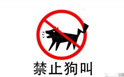 养狗女吐槽杭州最严禁狗令：杭州禁狗规定“让人窒息”，开始不喜欢杭州了！杭州这波养