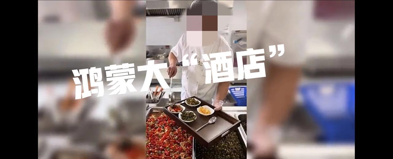 差别好大，真的是没有对比就没有伤害，有了对比才知道什么叫厉害！同样是客户到店吃