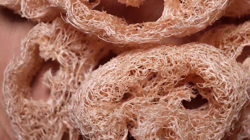 丝瓜瓤子配它一起煮，胜过人参千千万，看到这个土方子，说明你有缘分 平时动不动