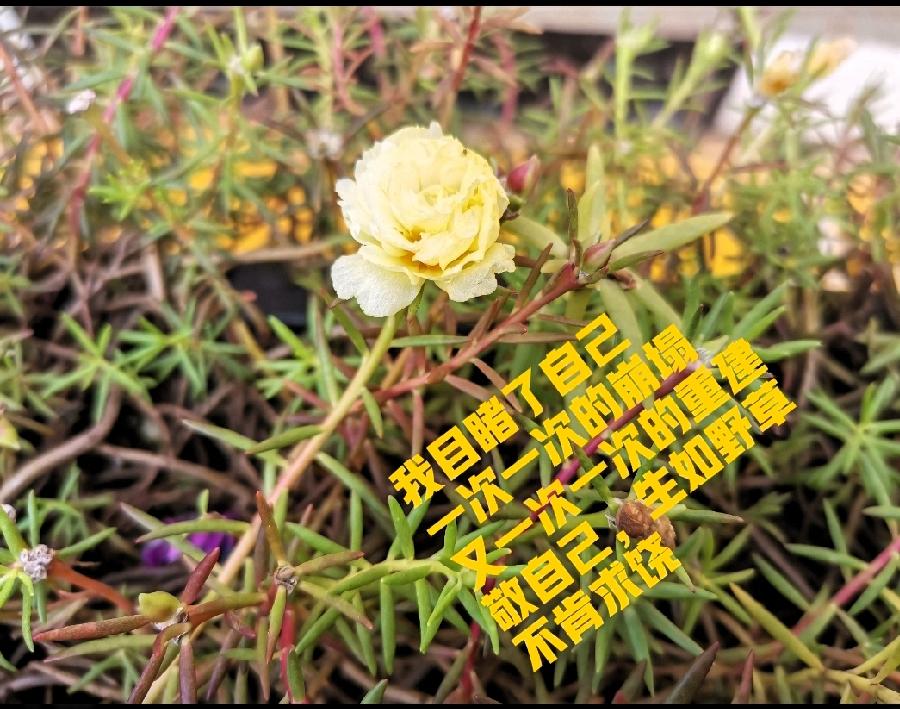 不得不信真的是玄学，3月5日，我去找领导提辞职的事情了，果然跟24年被动退休时一