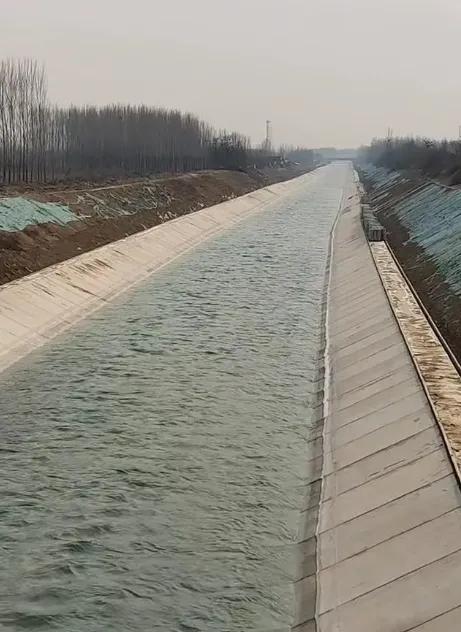 桥上的鲜花还没谢，四个家庭的天已经塌了！36岁的退役军人徐闯，曾是部队里七次