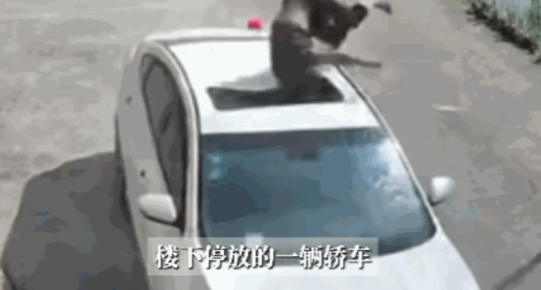 电视剧都不敢这么演！”近日，湖南娄底，一男子在农村自建房的3楼楼顶修缮时，突然脚