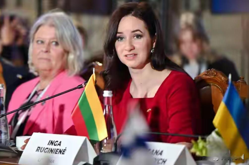 改名四年，立陶宛算总账：赚了虚名，亏到骨子里四年前立陶宛敢把“台北”改成“台