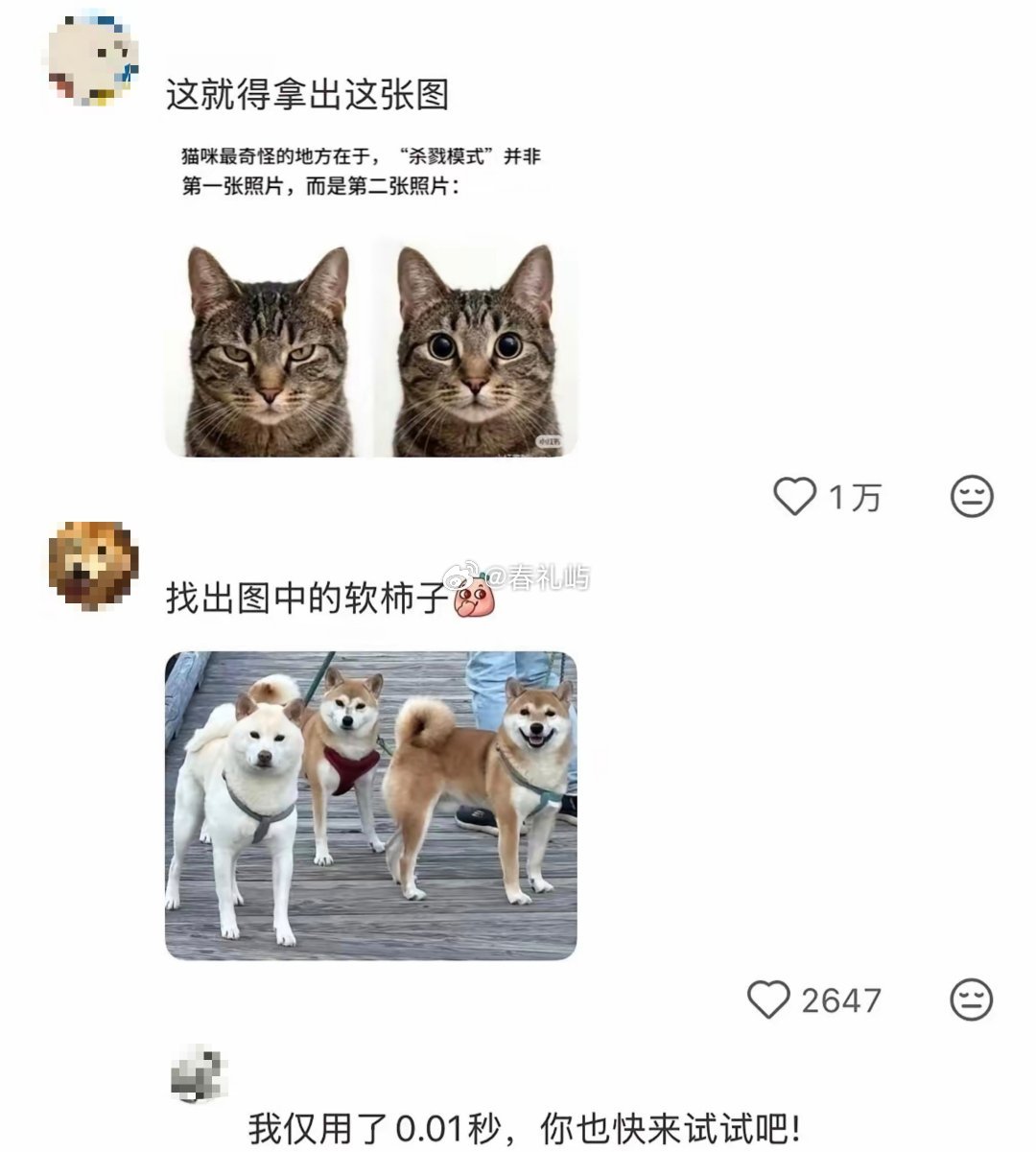 原来软柿子是一眼就能看出来的