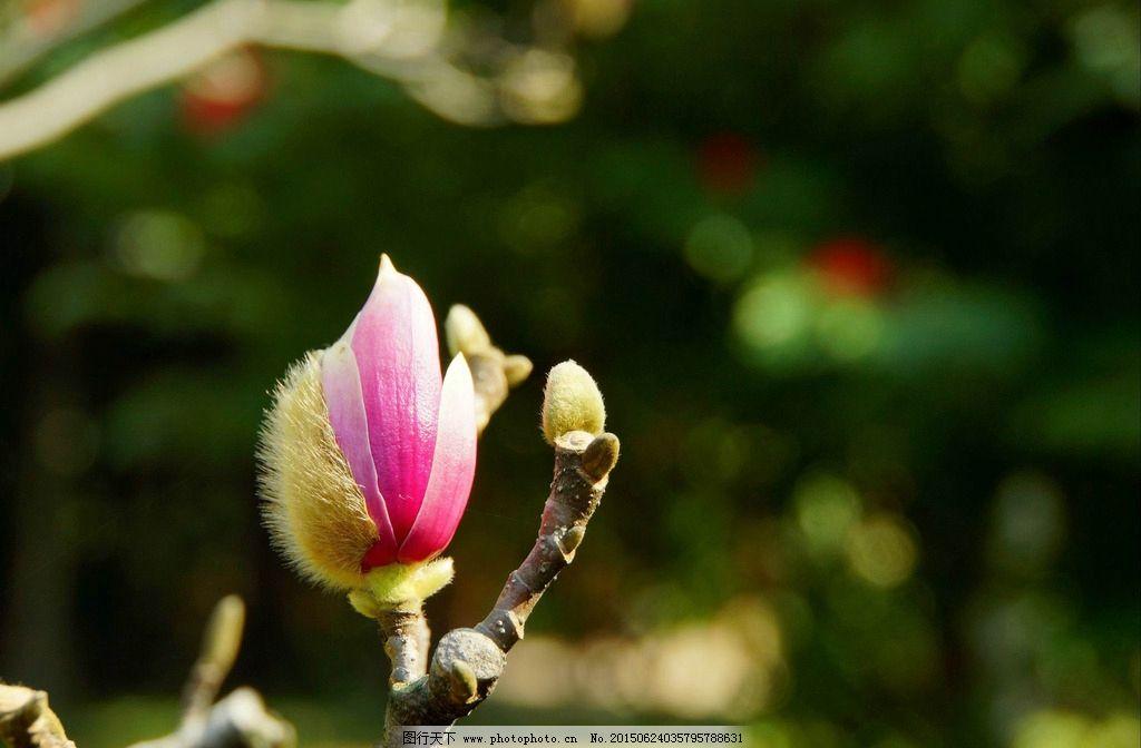 周末重磅消息，下周走势前瞻！周末重磅消息如下：其一，据媒体报道，证监会召开资