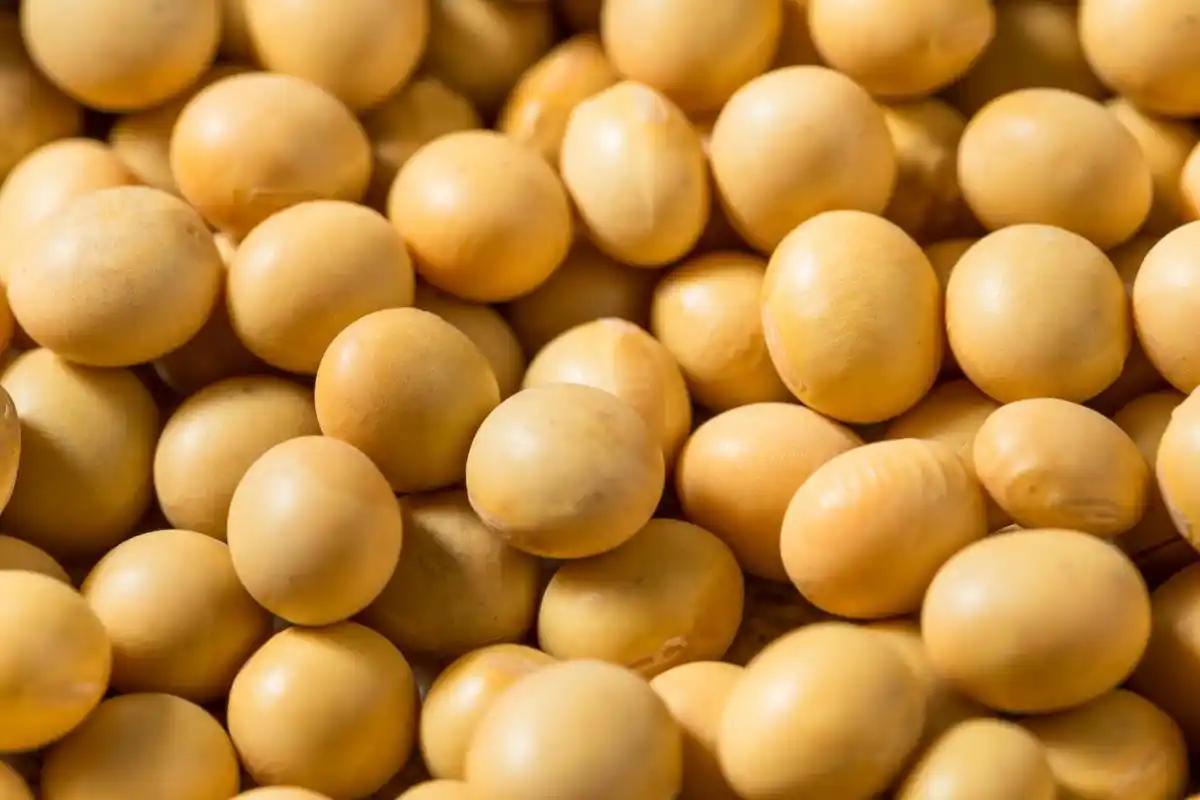 现在终于明白了，为什么特朗普与咱们的贸易战突然熄火了，原来不是美国政府认输了，而