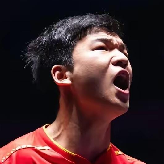 蒙彼利埃冠军赛国乒男队，一夜之间就剩向鹏这根独苗了！本来人就少，第一轮还走了俩—