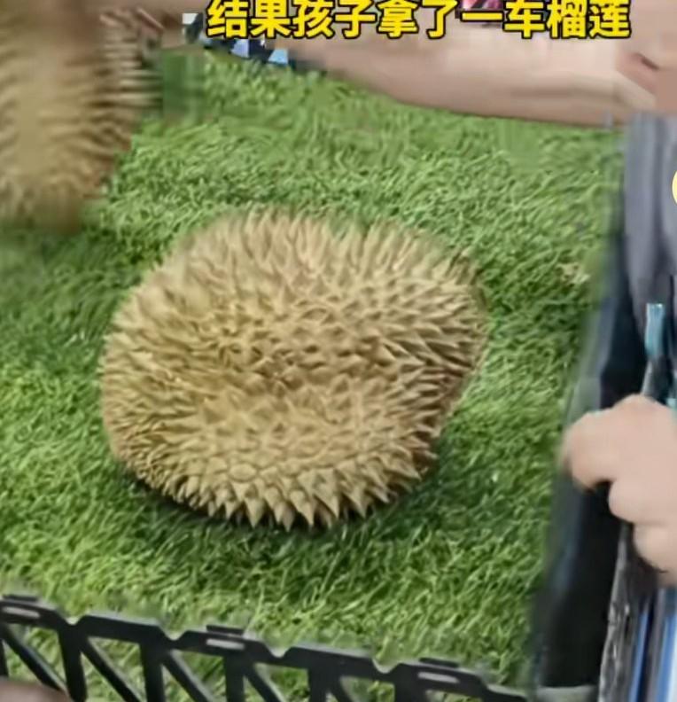这次考试考了个好成绩，妈妈奖励他说30秒内拿自己喜欢的东西随便拿，结果孩子拿了