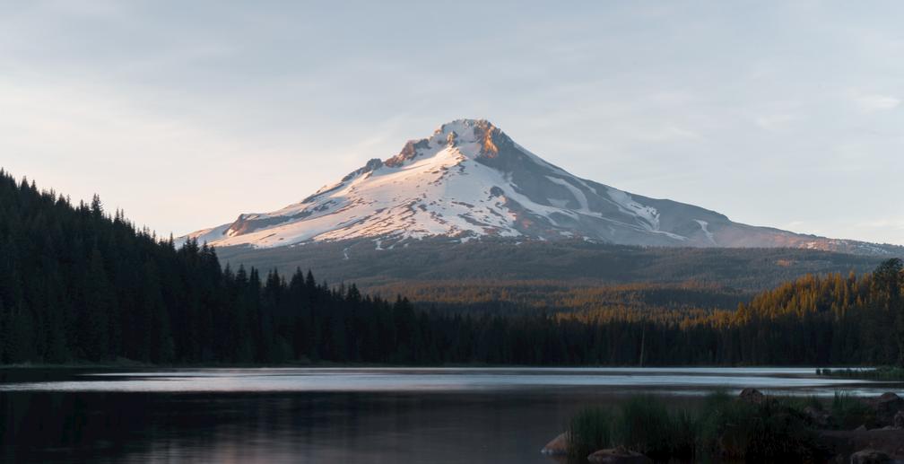 刘震云说：人生最大的报应之一，就是婚姻。你遇见谁，和谁结婚，过什么样的日子，其实
