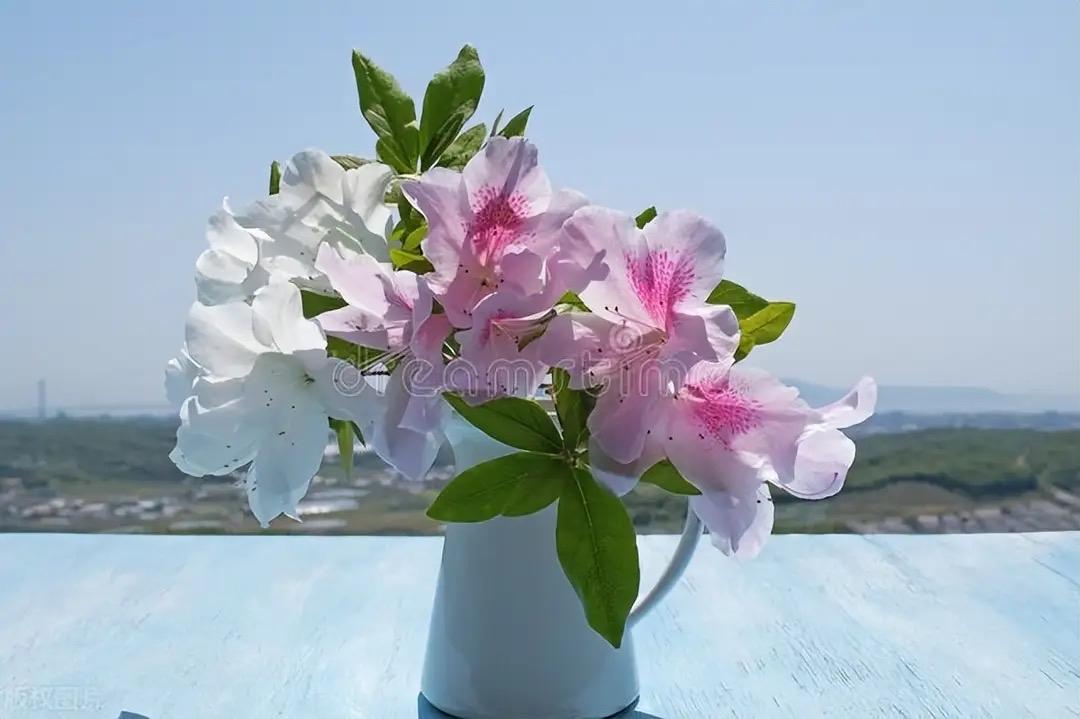 人在婚姻中，最令人心碎的，往往不是那些表面的争吵和琐碎的物质纷争，而是在关键时刻