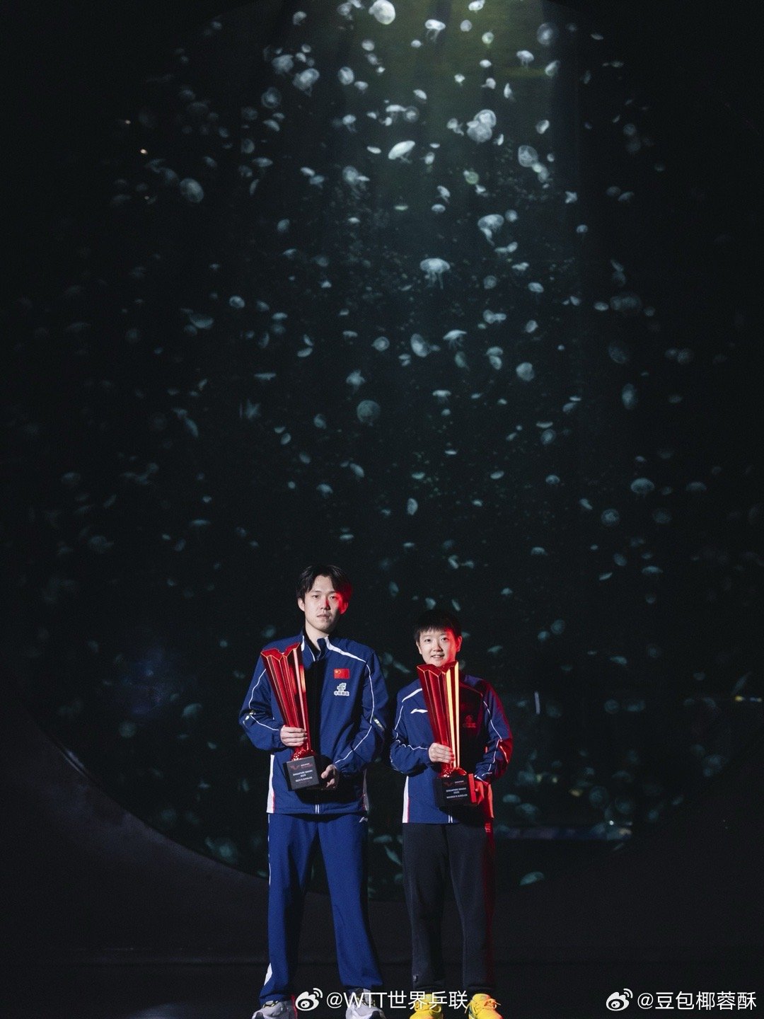 就让这幸福全都落下来～