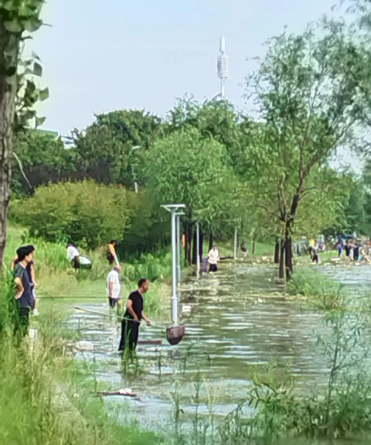 郑州昨天夜间下起了暴雨，部分街道积水，贾魯河水猛涨，天亮后，积水慢慢消退，河两岸