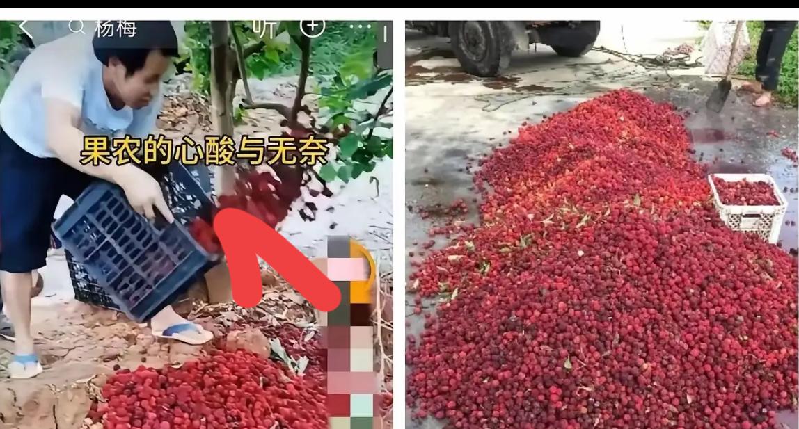 5月17日，福建漳州“药水杨梅”事件持续发酵，市场已出现严重反噬：经销商滞销、外