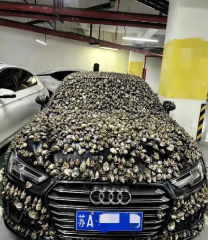 “一分钱不要，也得让你长记性！”业主车位被霸占10天，一怒之下做了这种事。他没有