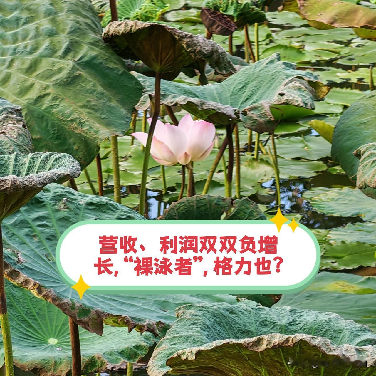 营收、净利皆呈负增长态势，“裸泳者”，会是格力吗？格力电器半年报显示：1.