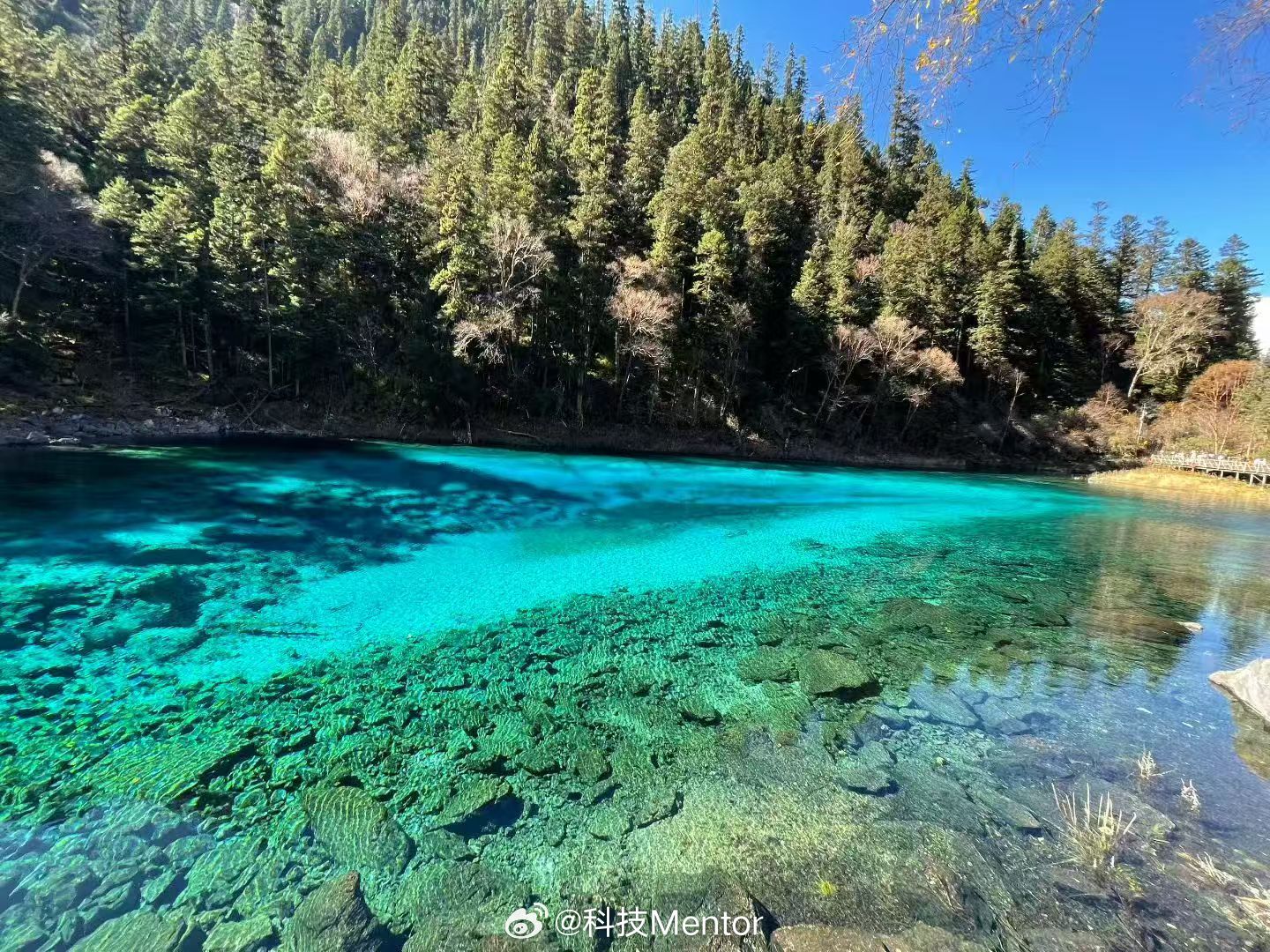 四川九寨沟景区泥石流前两年地震，现在又泥石流，感觉要尽快去一趟九寨沟了啊
