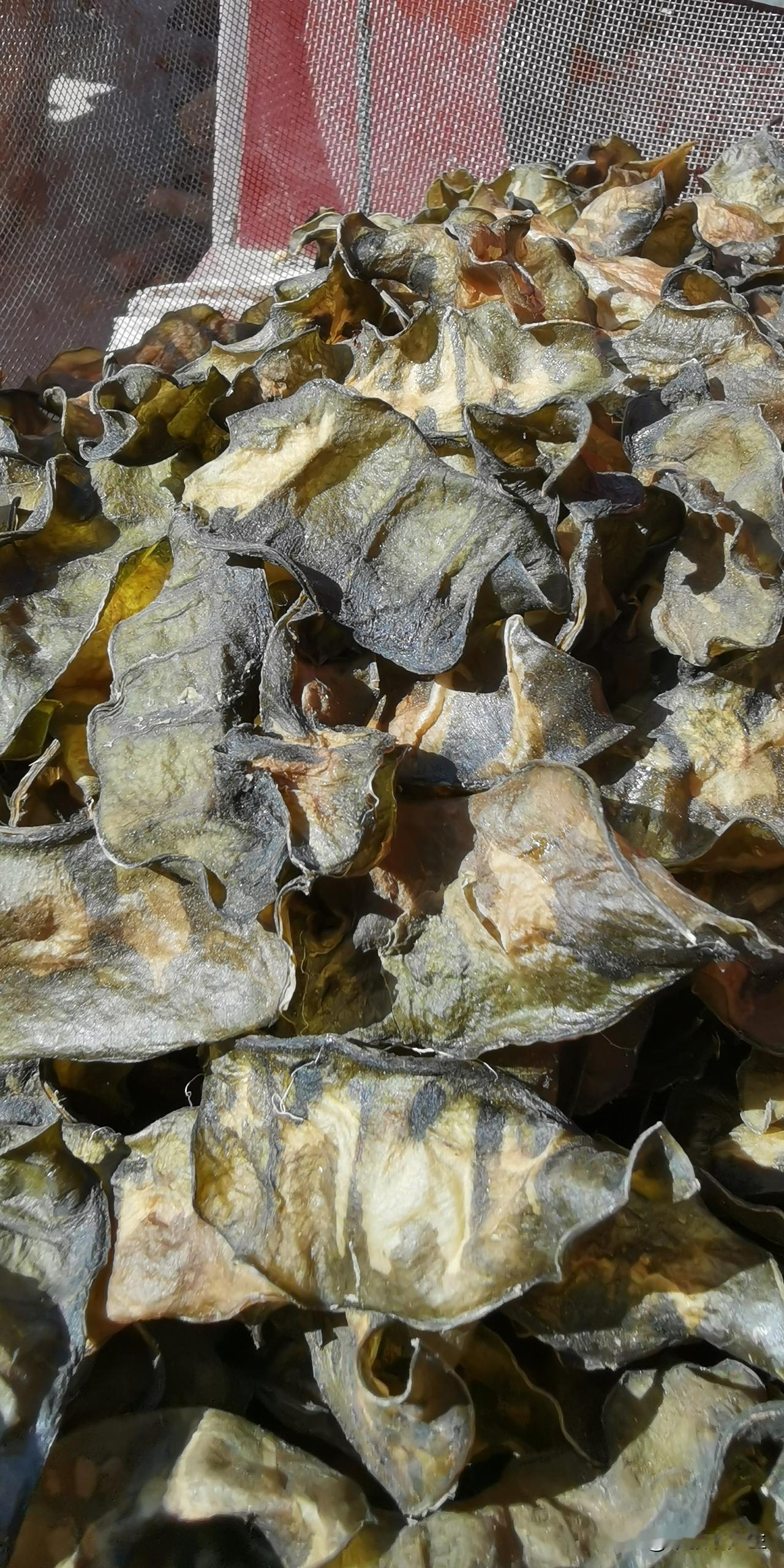 这是什么皮？农村人喜欢吃的干菜之一，比豇豆好熟，味道正。山东人都知道