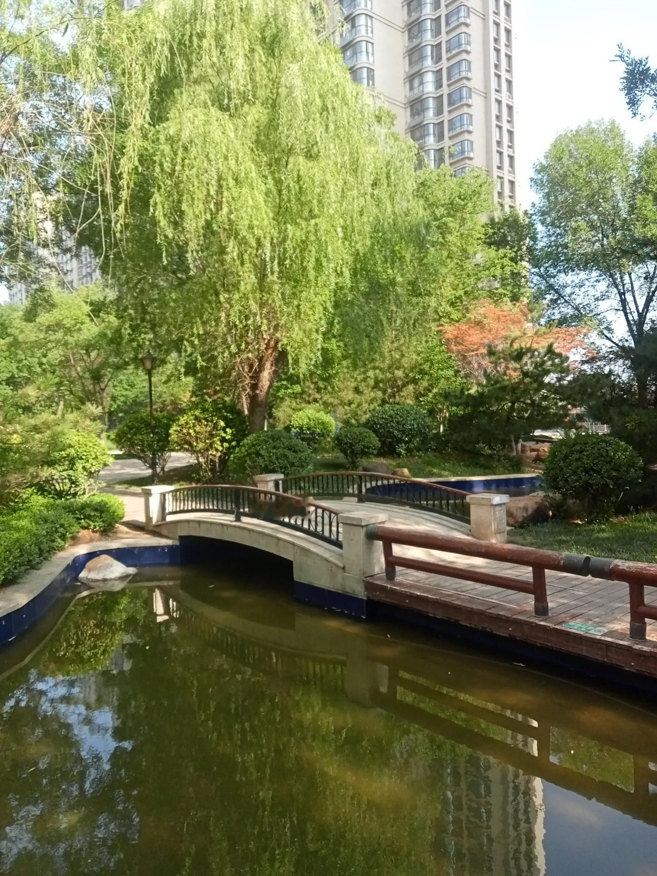 然而，当下有少数官员贪污腐败，性质极为恶劣，严重损害了官员形象。必须从重从严整治