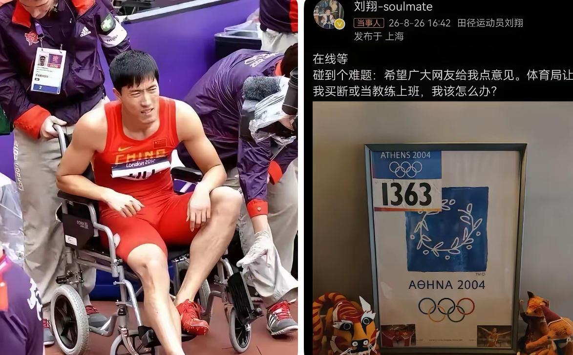 胡锡进没有调查就评论，说同情刘翔，希望他有一个好的、体面的人生后续。胡还要我们的